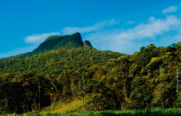 ecoturismo na costa verde e mar em Santa Catarina