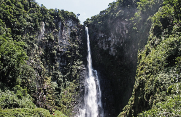 ecoturismo no caminho dos príncipes em Santa Catarina